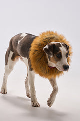 REALLY LIKE THAT FAUX FUR HEADBAND