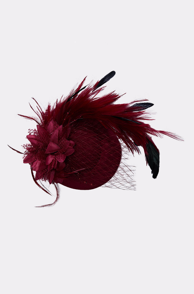 TOP OF THE DAY CLIP ON FASCINATOR