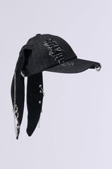 AERIAL VIEWS HAT