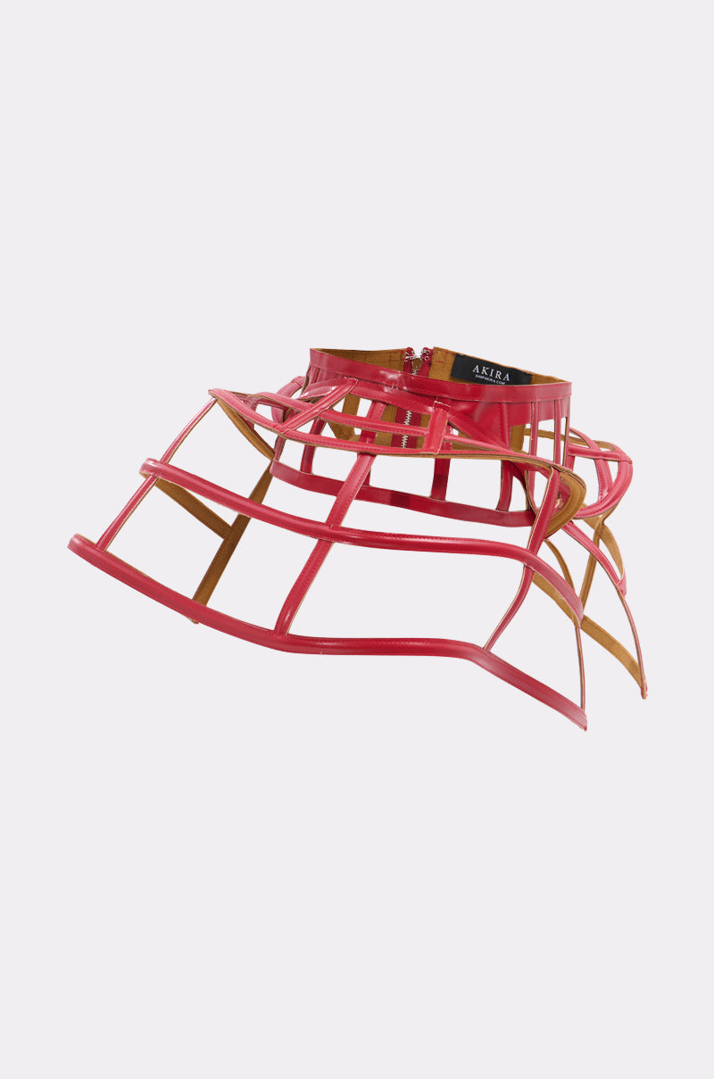 BACK UP CAGE BELT
